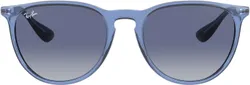 Ray-Ban RB4171 Erika Round Sunglasses