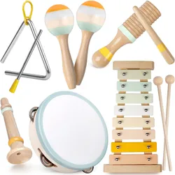 Rmischolar MIS891 Musical Instruments Set